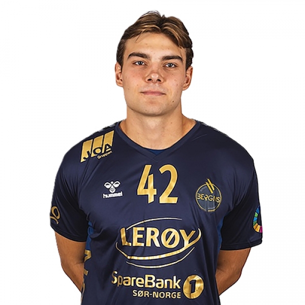 Karl Edvard Wallevik