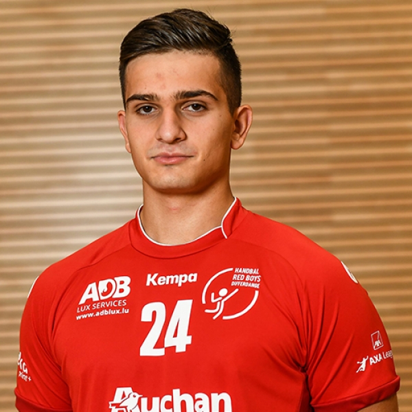 Haris  Hodzic