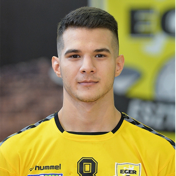 Tamas  Tovizi